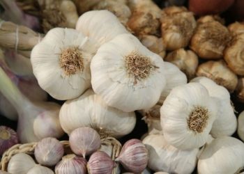 Šta sve niste znali o belom luku: Odličan je za skidanje kilograma