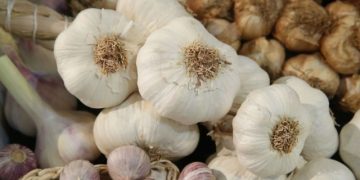 Šta sve niste znali o belom luku: Odličan je za skidanje kilograma